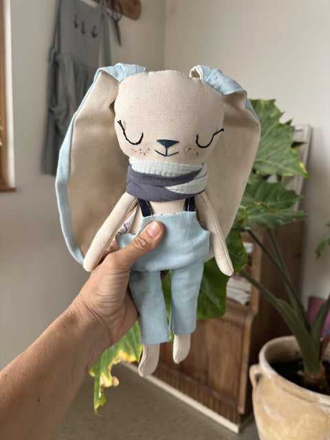 Small doll case