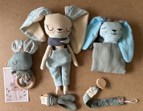 Small doll case