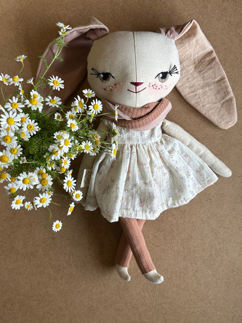 מיפי הארנבונת (במלאי)