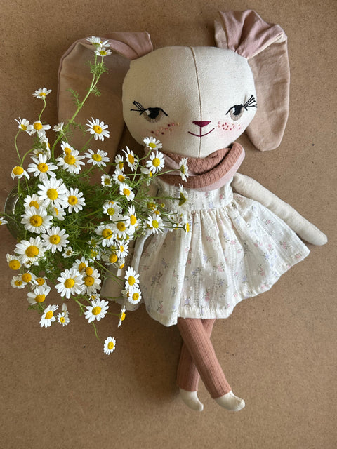 מיפי הארנבונת (במלאי)