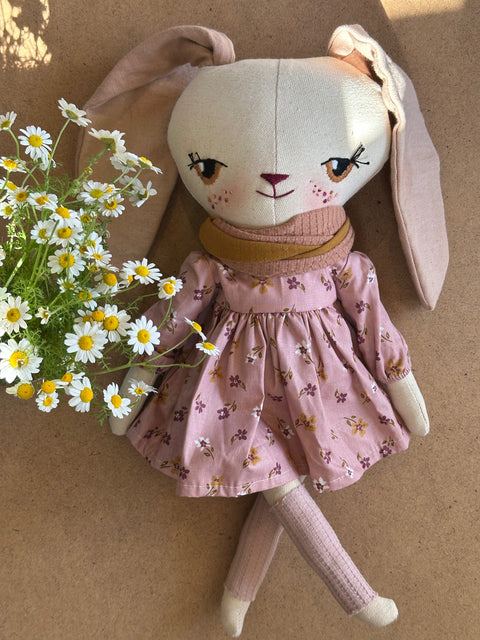 ארי הארנבונת (במלאי)