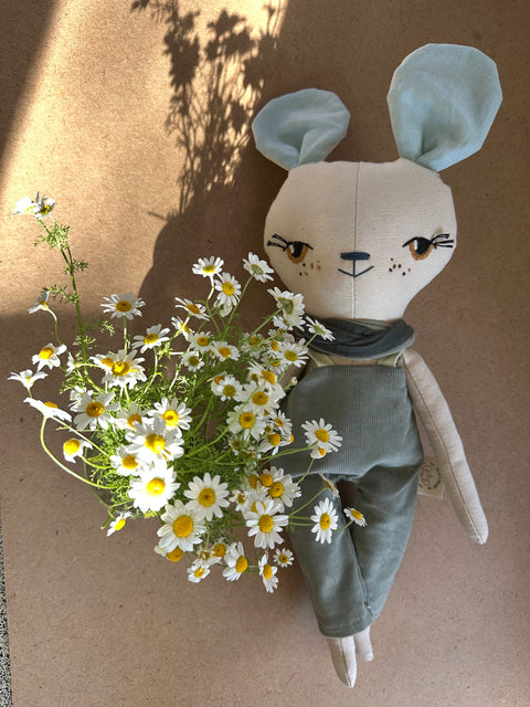 ⁨תום העכברון(במלאי)⁩