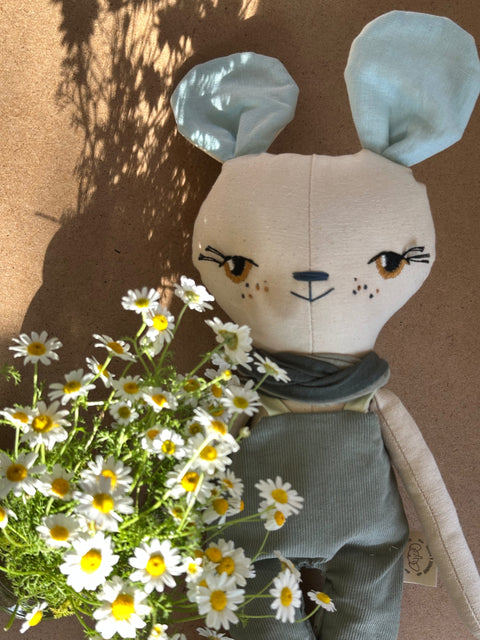 ⁨תום העכברון(במלאי)⁩