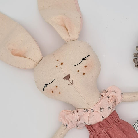 אלי הארנבונת