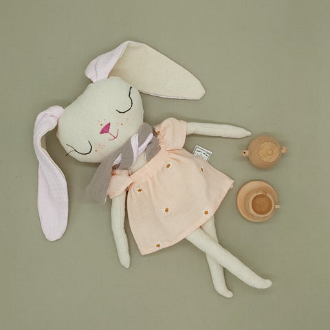 רוזמרי הארנבונת