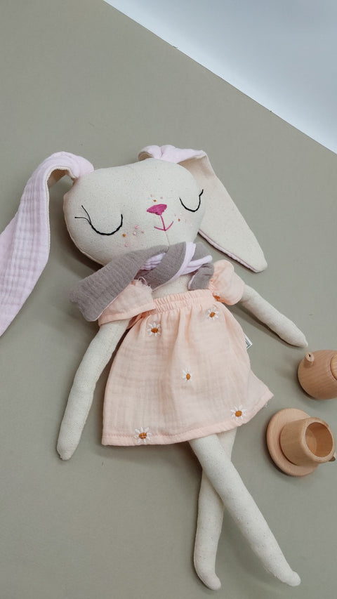 רוזמרי הארנבונת