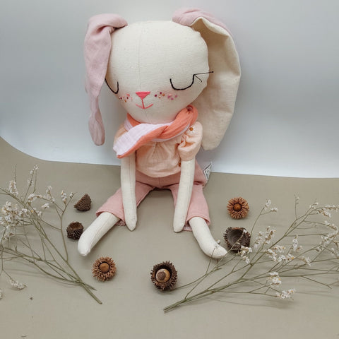 אייבי הארנבונת