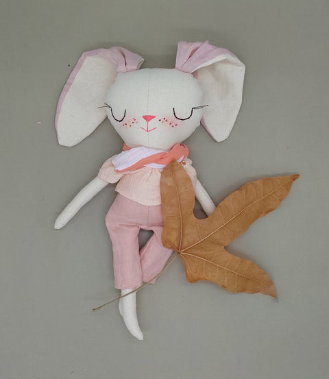 אייבי הארנבונת