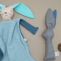Blue rabbit primary case