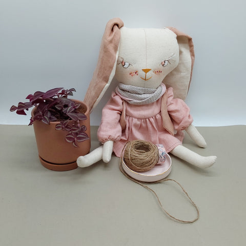 ווינטר הארנבונת