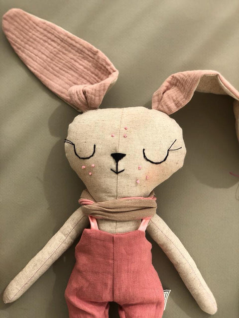 לוני הארנבונת