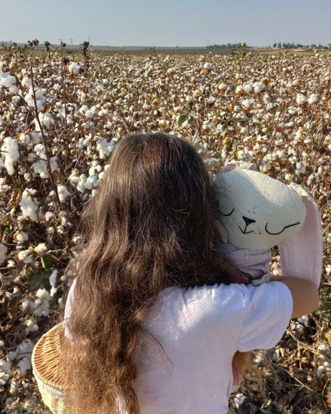 פאו הארנבונת