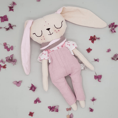 נולה הארנבונת