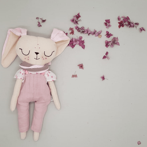 נולה הארנבונת