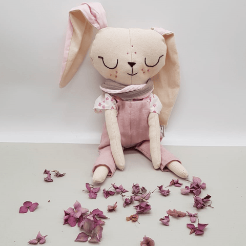 נולה הארנבונת