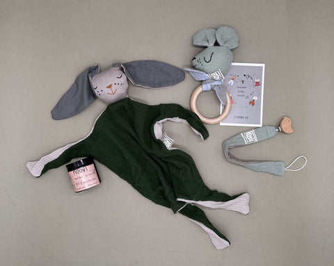 Green/mint rabbit doll head case