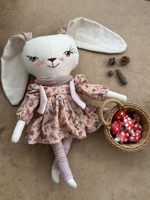 Nicky the rabbit