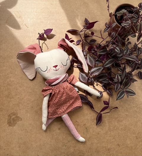 ⁨אלודי הארנבונת⁩