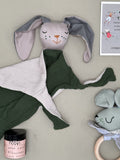 Green/mint rabbit doll head case